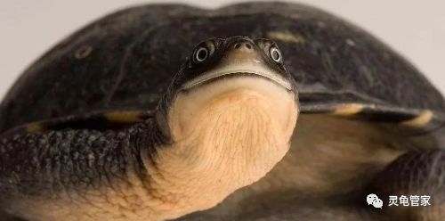 19bfd1eeaffa4c41b26cbb40ba0b43ae.jpeg