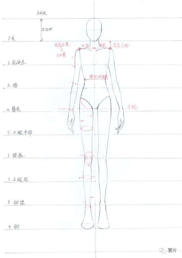 服装人体线稿!绘制教程