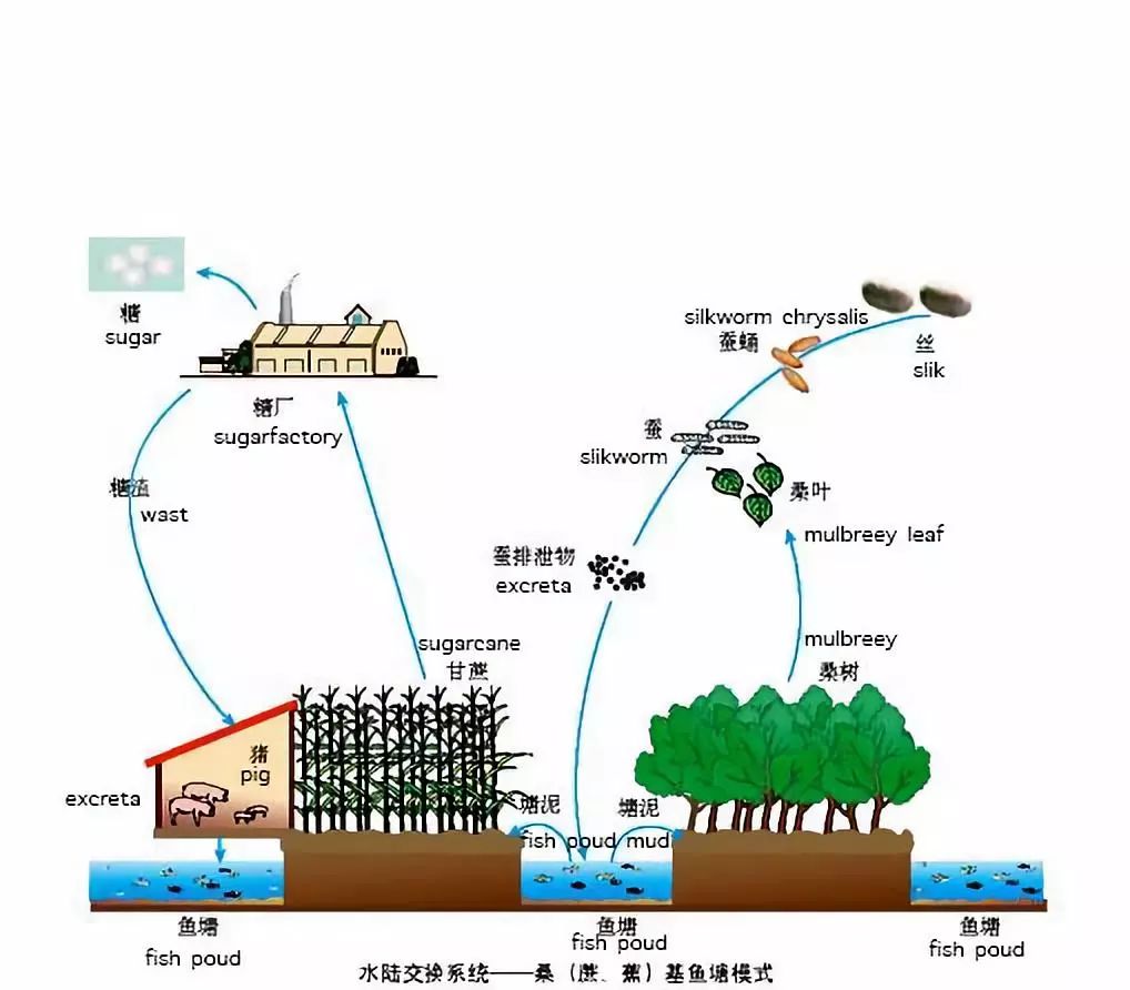 湖州人口数量_湖州图片(3)