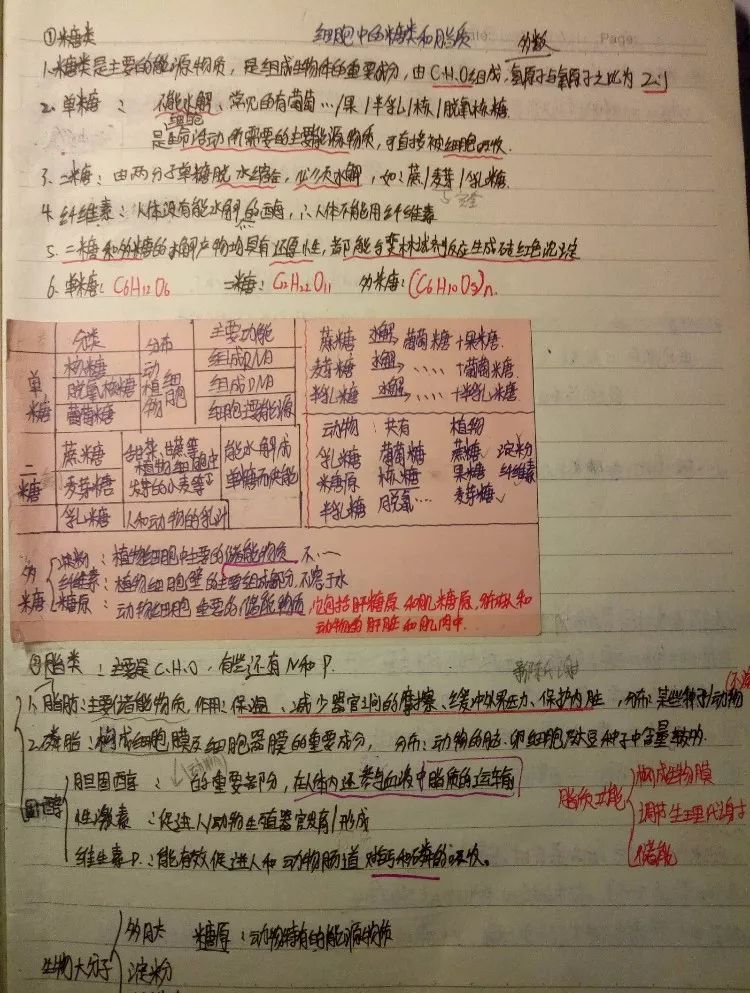 晒晒学霸的课堂笔记,你找到其中的学习秘诀了吗?