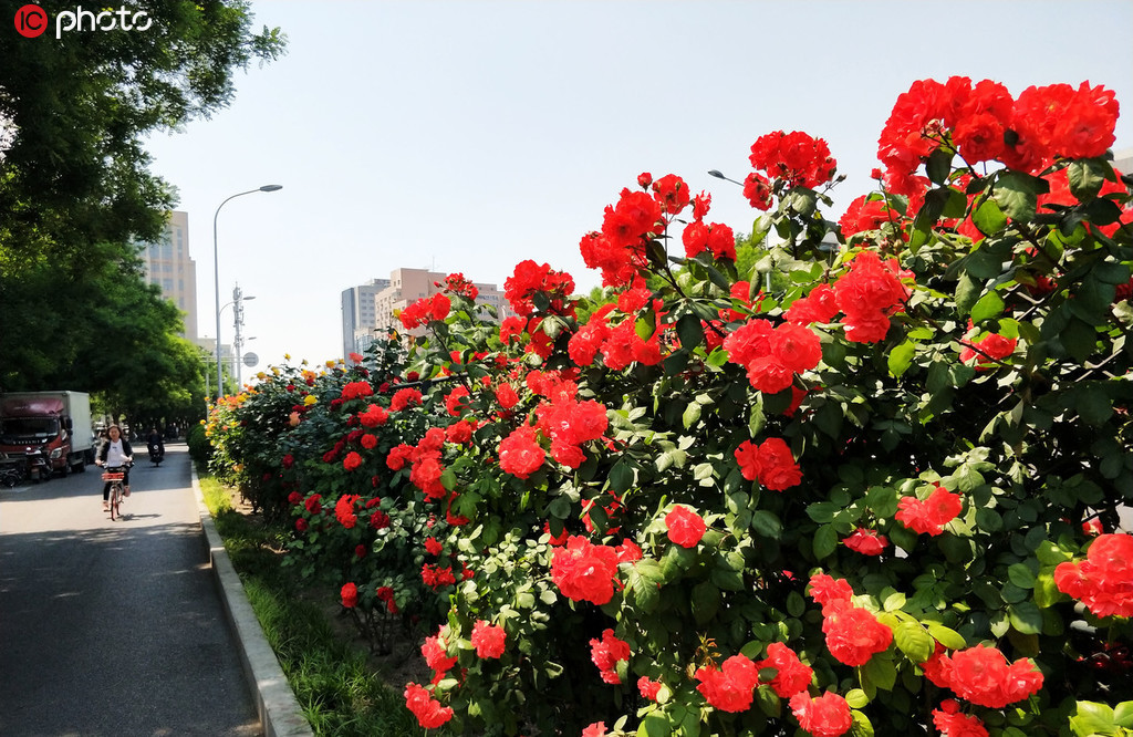 惠州饮料卡板海量现货价格实惠_鑫凯威