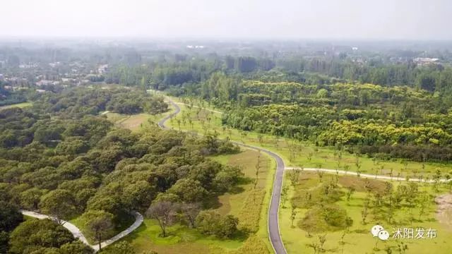全市唯一!沭阳成为省级“四好农村路”示范县,绘就城乡幸福新画卷! 性爱视频网站