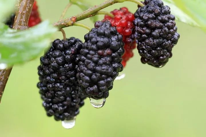 3f5eae15e9874a0dabc132e0cbe597dc.jpeg