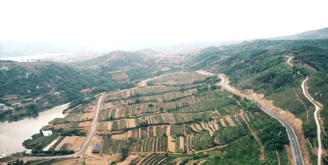 千年福地 一世槐花—巨峰镇第四届甲子山槐花节如约而至