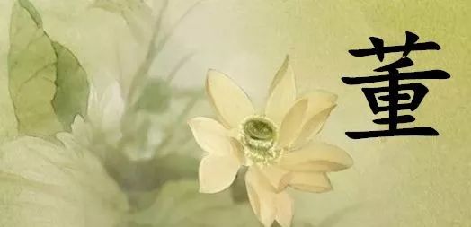 董姓,我永远为姓董而自豪!