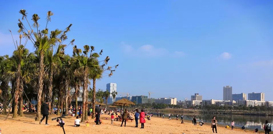 【视频】不用去海南,家门口即可享受"热带沙滩",多角度看万丰湖湿地
