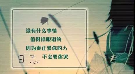 真的爱你古筝歌曲谱_我是真的爱你刘涛图片