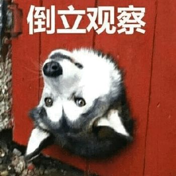 【搞笑图片】沙雕动物表情包