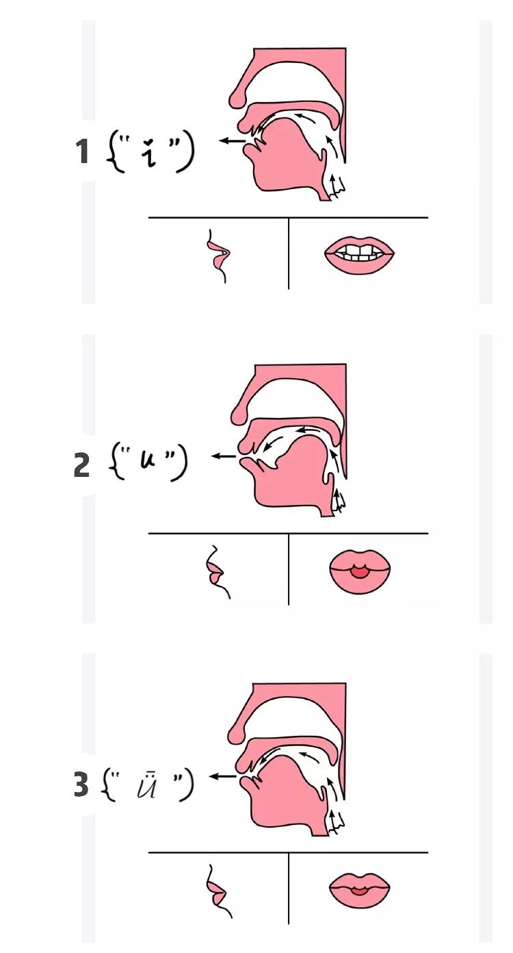 大师兄打卡——语言练声_发音