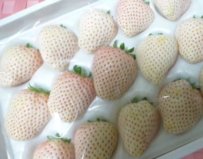 教你认识常见的转基因食品!