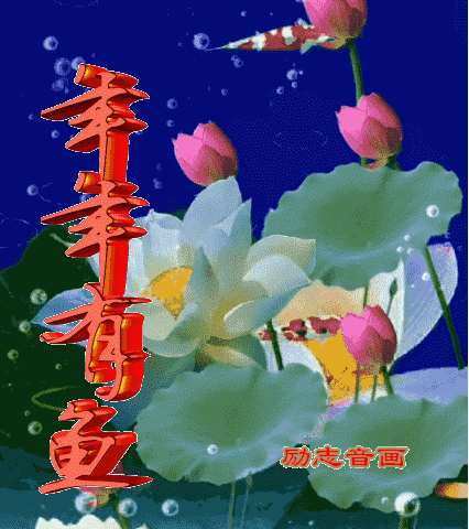 早上好一首鸿雁与你相遇一生珍惜