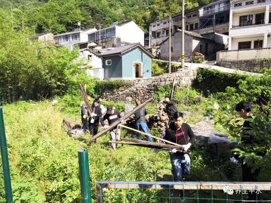 "政能亮"平水一周记事 第十七期来啦!_平水镇