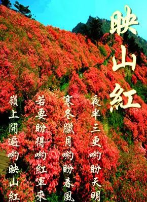 创作时间:1973曲:傅庚辰词:陆柱国映山红"十万百姓泪汪汪,恩情似海不