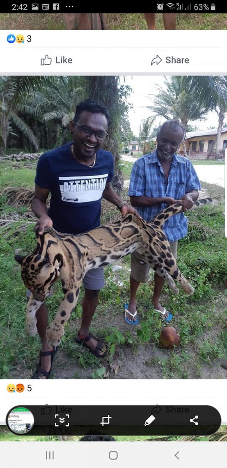 原創
            雲豹被獵殺後男子在網上曬照求讚，動物保護部門卻懶得追究 寵物 第4張