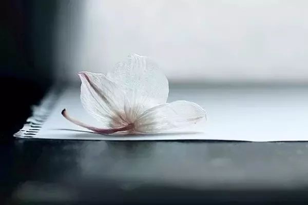 a14c9b14b6f04191addfd91975a5f447.jpeg