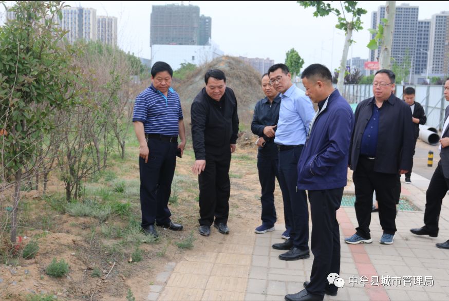 李雪生局长来我县调研指导城市管理工作