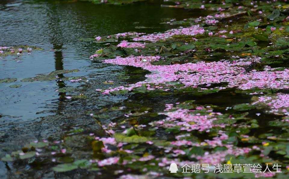 斜风细雨春芳歇,流水落花泣别离