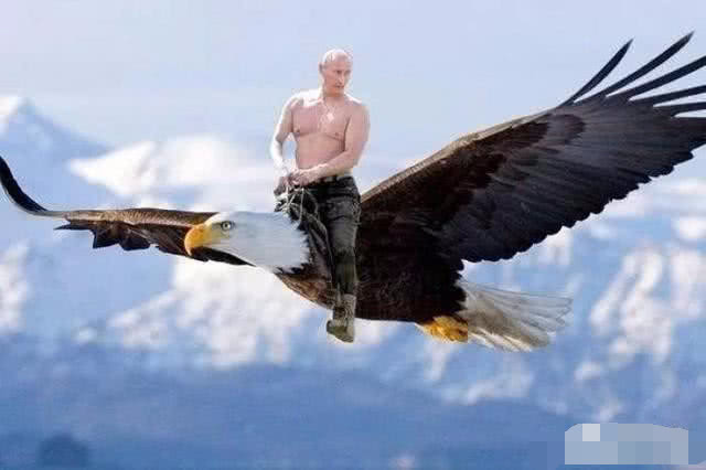 俄罗斯总统是谁