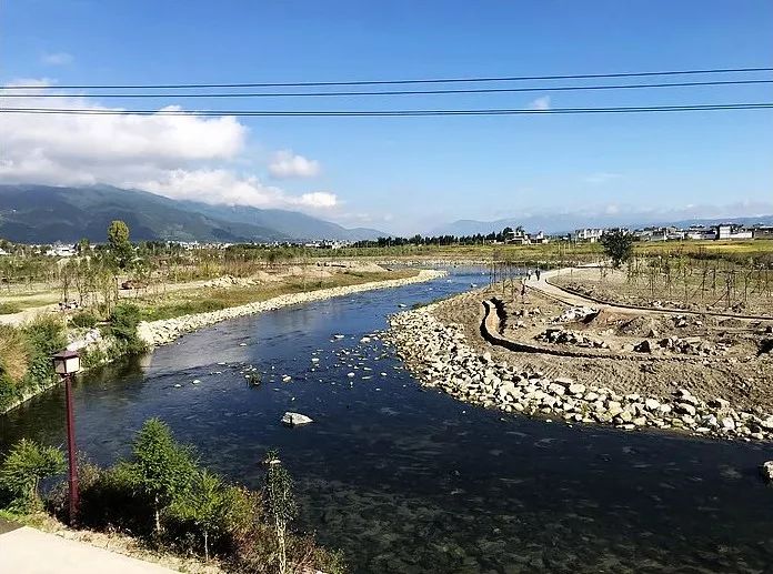 "杨金成是云南大理白族自治州湾桥镇向阳溪村委会主任,阳溪穿村而过