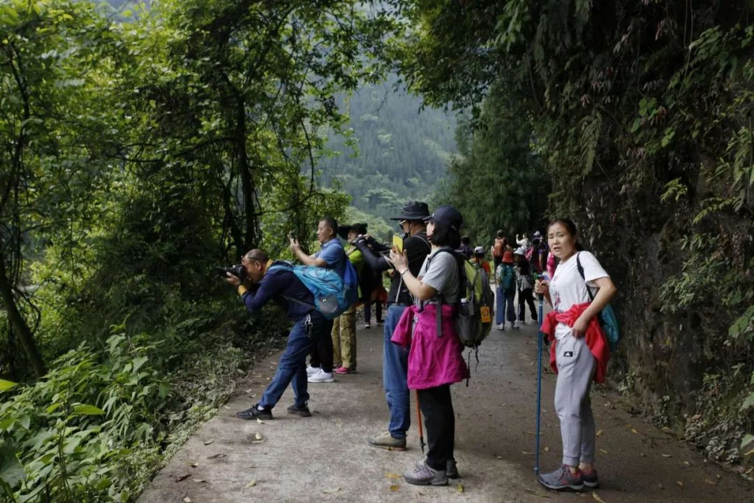 荥经总人口_荥经棒棒鸡图片