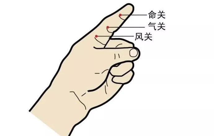 小儿食指按指节分为三关:食指第一节(掌指横纹至第二节横纹之间)为风