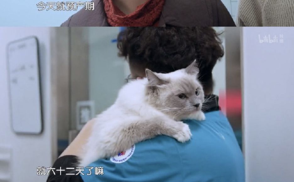 da866a6ff1b14368ad0cc328ad341177.jpeg