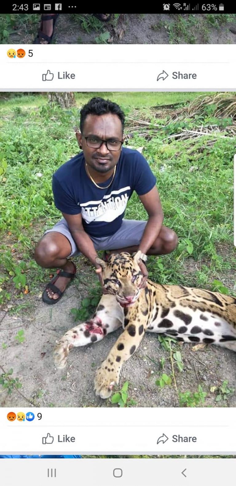 原創
            雲豹被獵殺後男子在網上曬照求讚，動物保護部門卻懶得追究 未分類 第3張