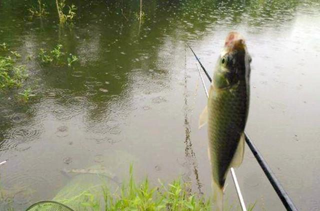 小鱼怎么钓最合理 e794fd6daa0944fca5472bca51c57033.jpeg