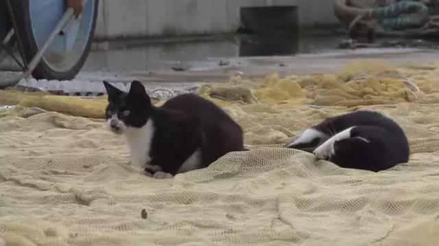 点击图片看原样大小图片