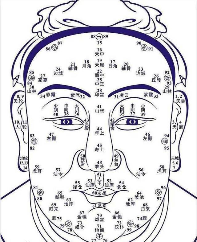 相由心生相则象鼻子为财帛宫代表人的一生财运及事业成功