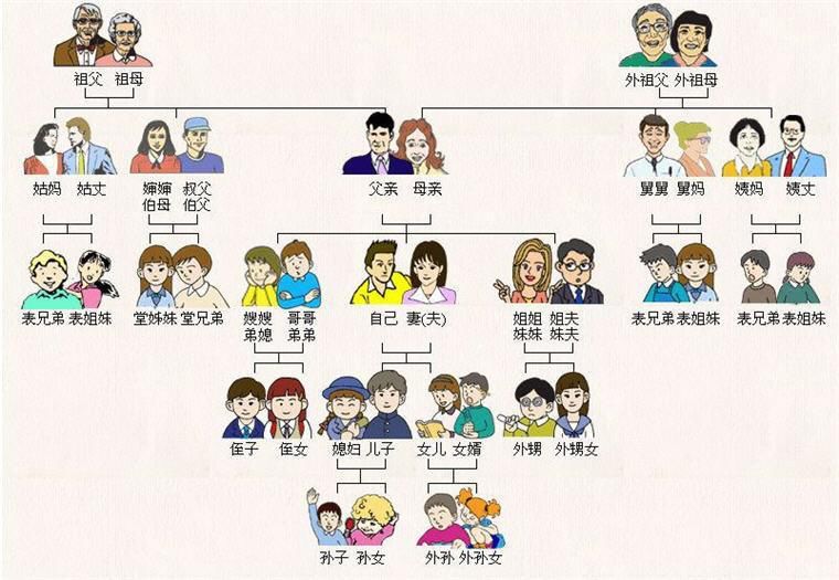 你了解你的家庭成员名称吗 称呼