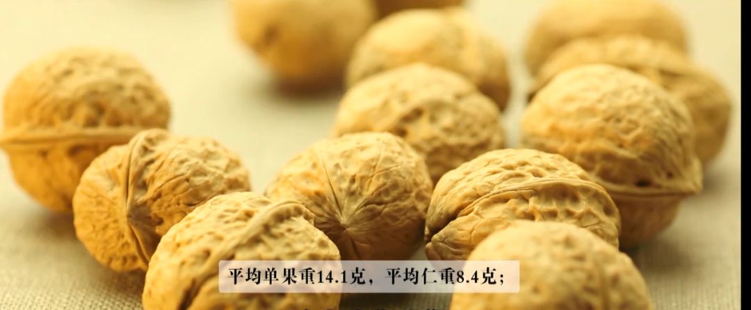 核桃品牌排行_六个核桃积淀价值获认可,养元饮品荣登2020年中国品牌价值500强排...