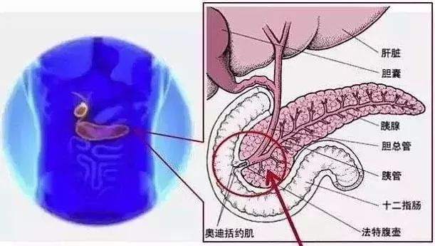 致女孩--那是食物,不是爱