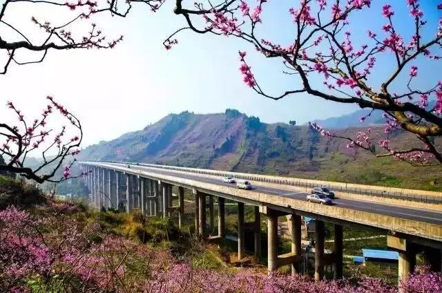 成都龙泉gdp_成都五环路龙泉规划图(2)