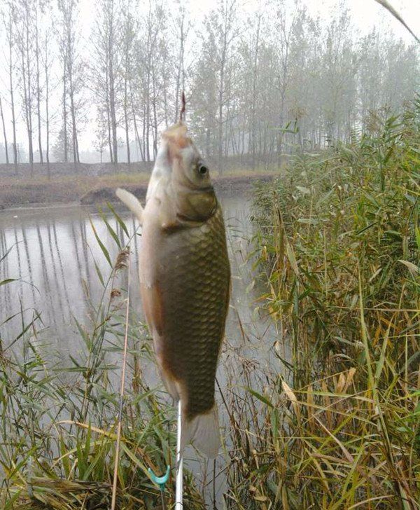 欢简单粗暴的?好!野钓最快最简单的调漂方法就