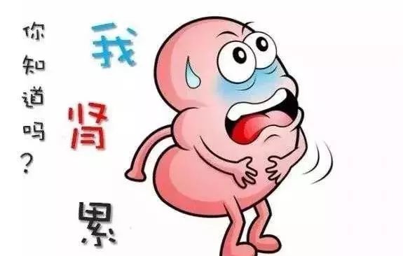 伤肾之事千千万,你中了几个? 博e百娱乐网