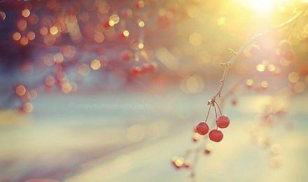 其实真的没有必要非得逼出个因为所以然