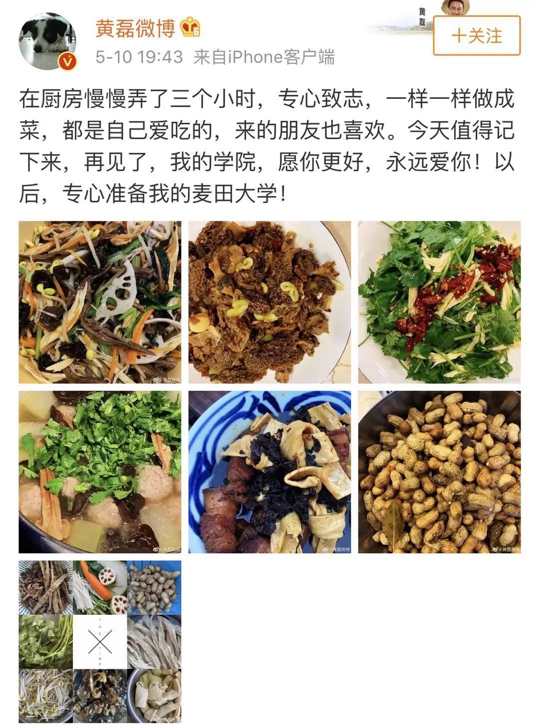 黄磊发微博称辞去北电教师职位,其原因可能跟当年的何炅一样 bt365体育在线投注