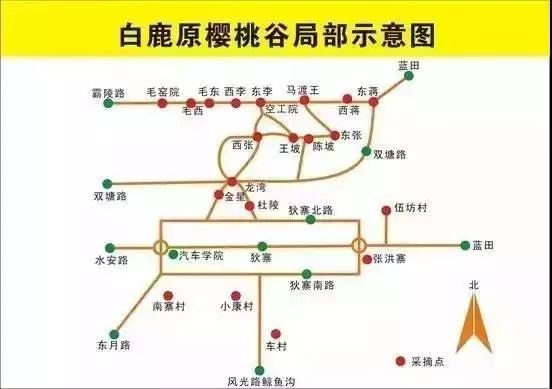下寨镇人口_人口普查