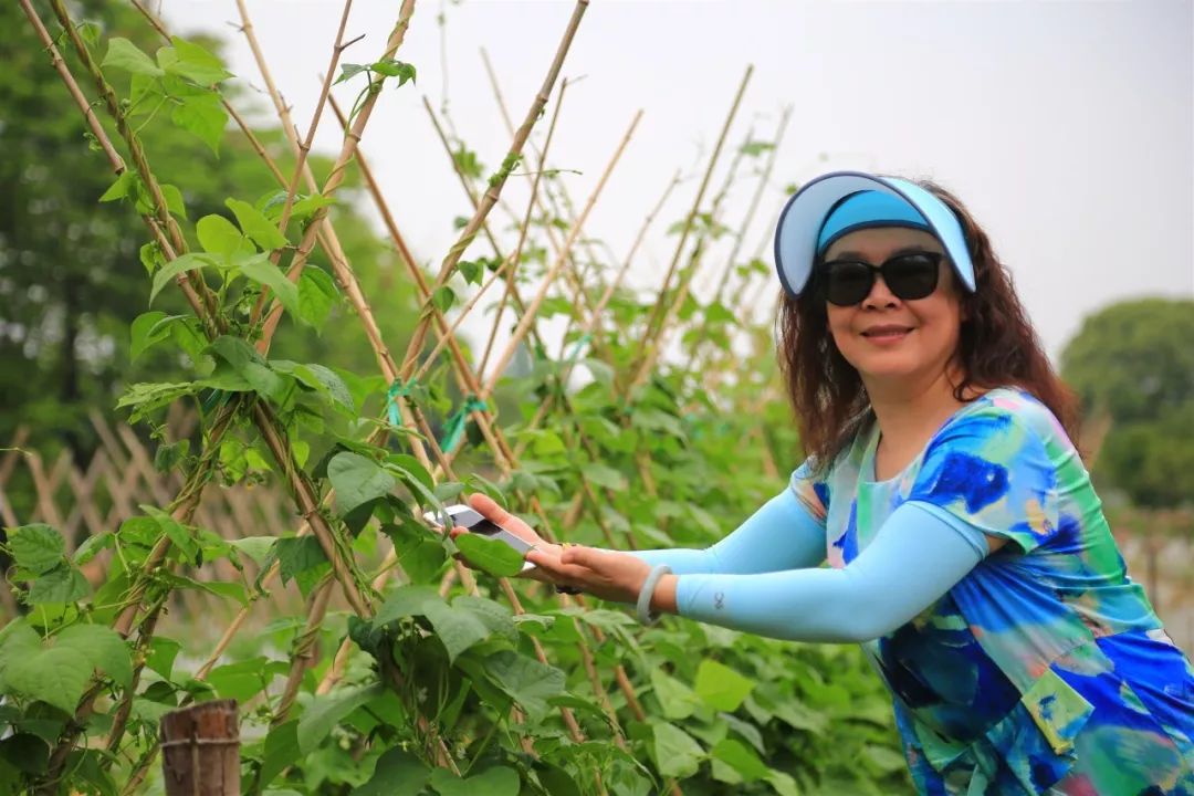 乐游自家的田园, 于天地间舒展身体, 漫步田园,看蔬菜自然长成, 摄影