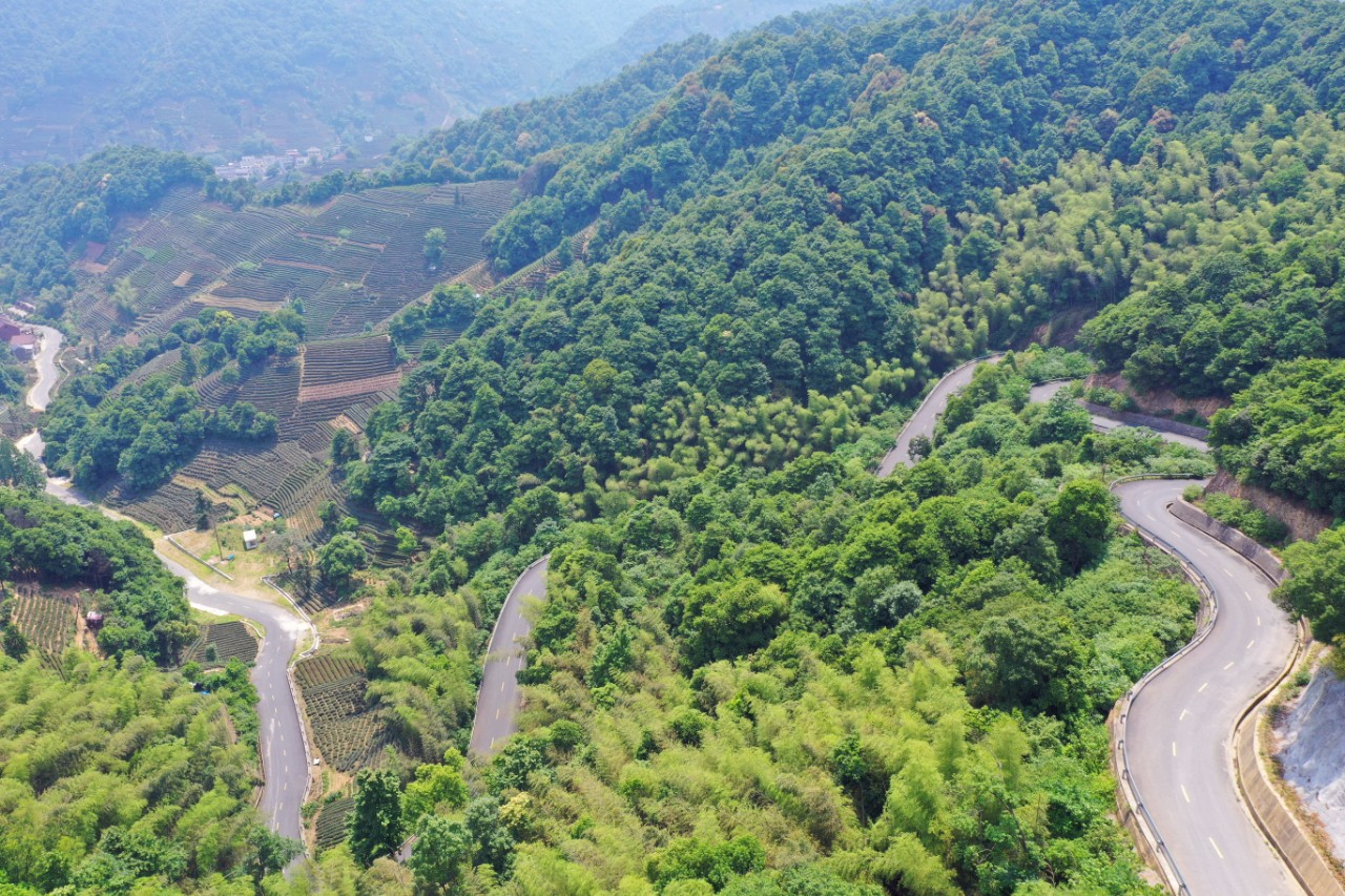 杭州有座寺庙与灵隐,法华并称"杭州城郊三大寺,就在小和山上