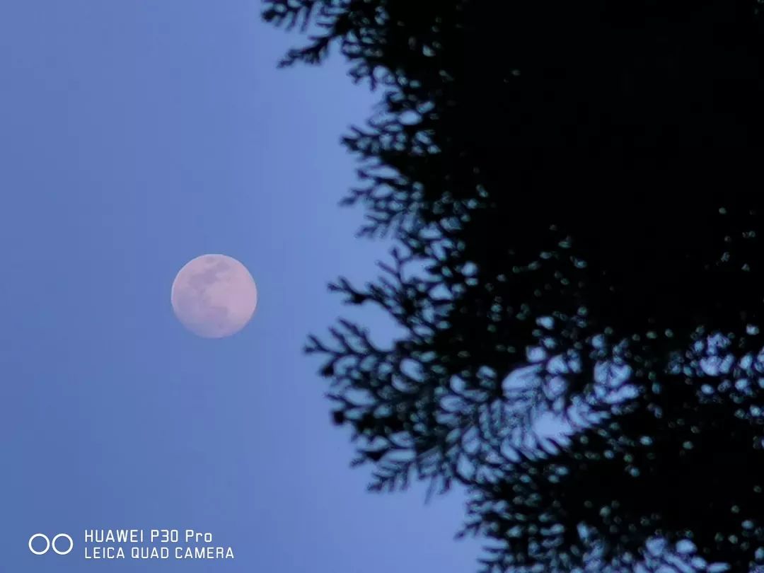华为p30 pro创意拍月,潜望式长焦镜头实力爆表!_月亮