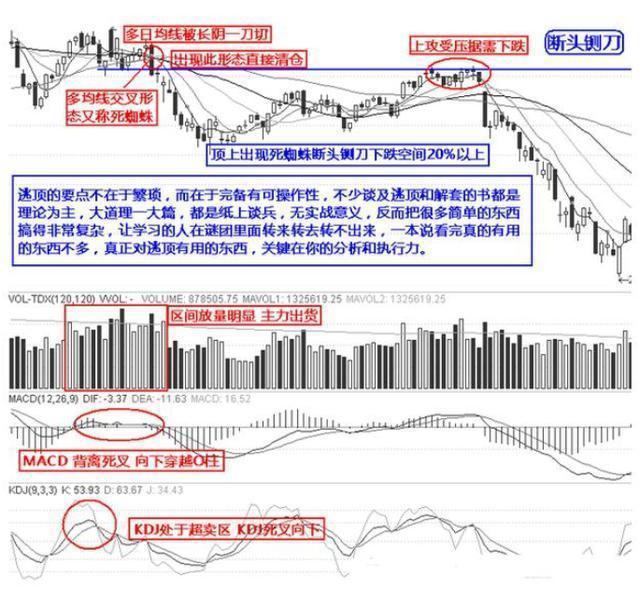 比亚迪股票最高点是多少 620065ecf81a4356a1a64e55bcc712d6.jpeg