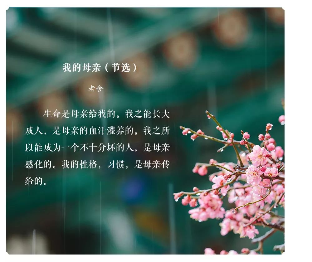 儿在千里母担忧曲谱_儿走千里母担忧图(3)