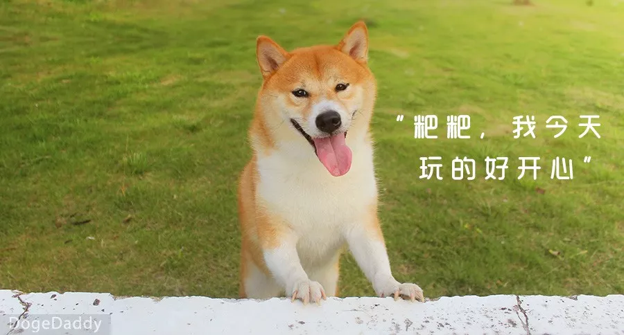 6caf00e147ef41afbef0f6a5728c7a6b.jpg