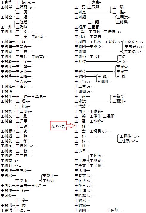 三槐王氏入黔始祖王元开系兑斋支系宗谱大纲