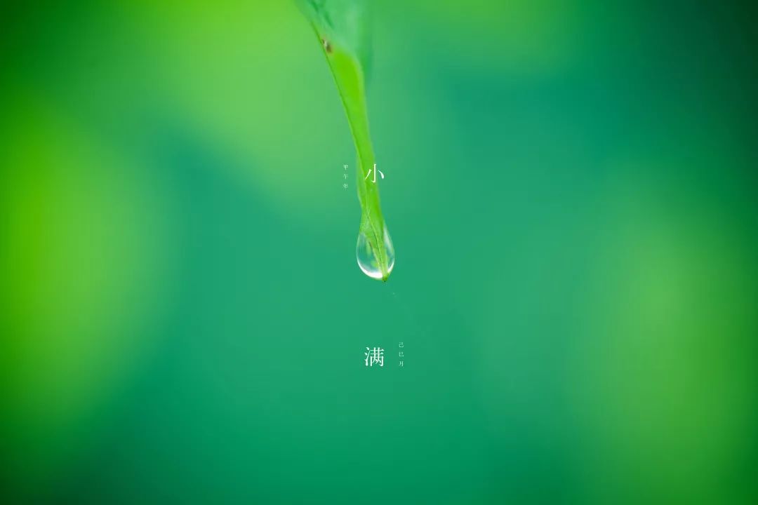 优美的大自然音乐,淡然,本真,宁静以致远._淡泊