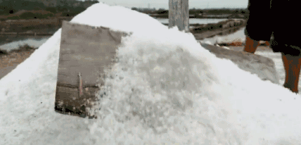 7f8517c299044417a3f4e80e6f216639.gif