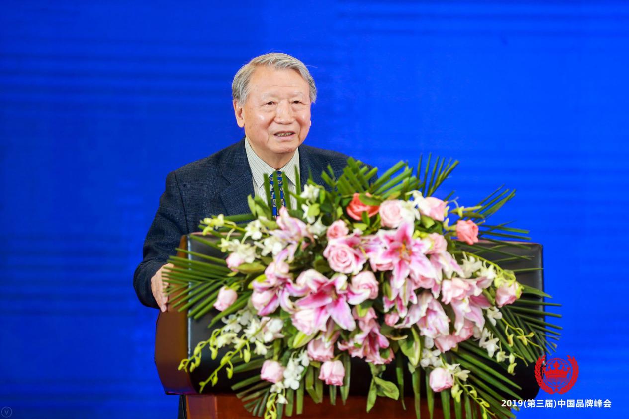 2019中国十大经济学家_行动派教育荣膺2019中国教育十大创新品牌奖(3)