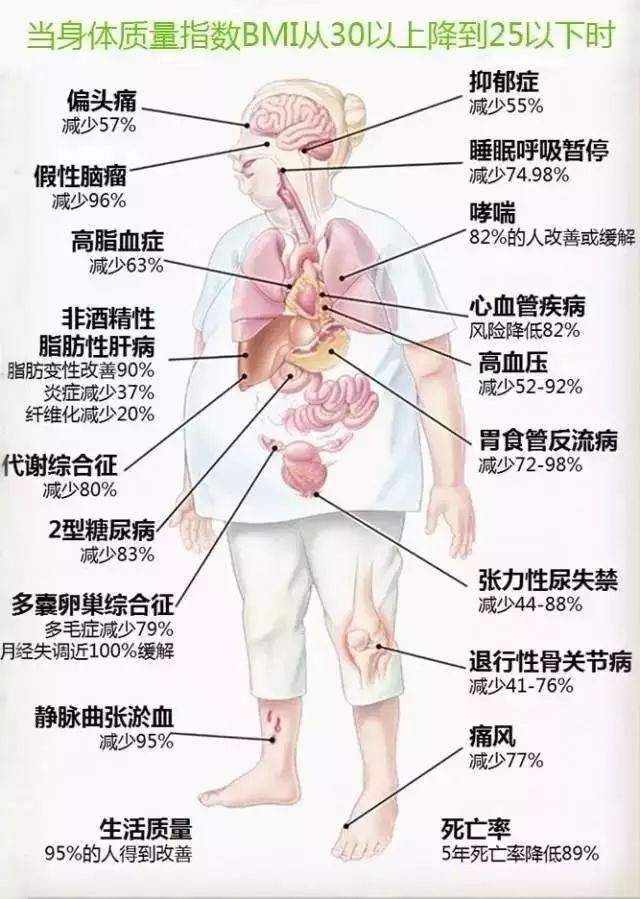 中国人口肥胖率_劝中国人吃素,是公益还是生意